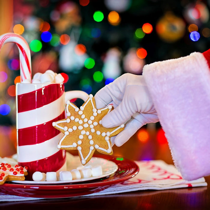 Christmas Choclate Drinks | Natures Zest
