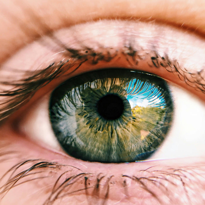 The Ultimate Guide to Eye Vitamin: Keep Your Vision Sharp and Healthy!