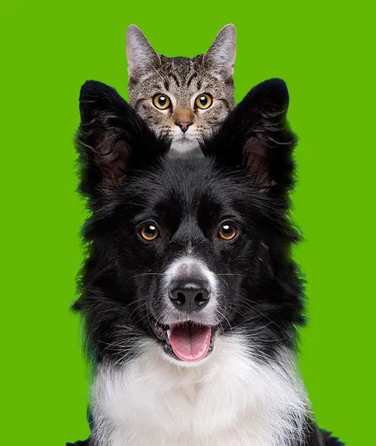 Because Your Pets Deserve the Best - Naturally!