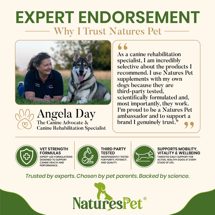 Dog Calming Drops for Stress & Anxiety Relief Support – MellowPet Advanced 120ml Liquid for Relaxation & Behaviour Support