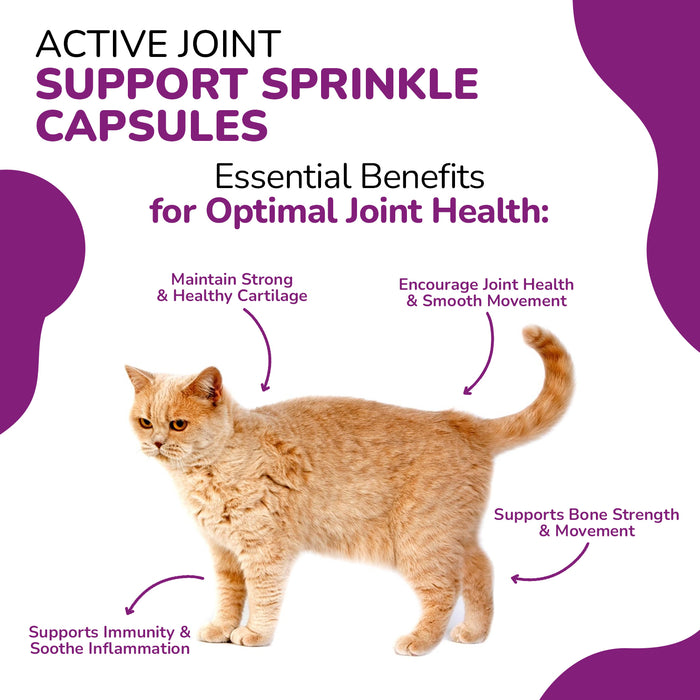 FlexiPaws for Cats - Advanced Joint Care Supplement for Cats – 60 Sprinkle Capsules