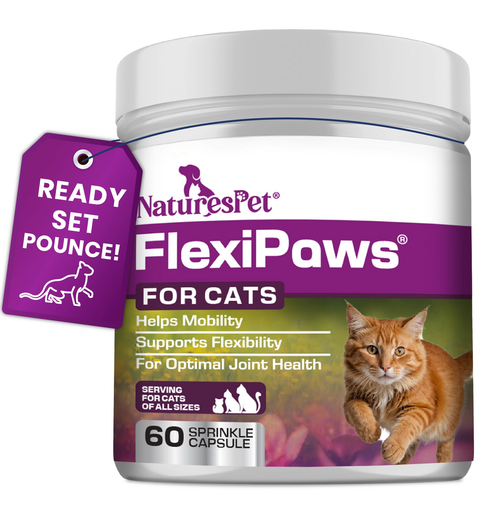 Cat Joint Support Supplement Mobility & Flexibility Support – FlexiPaws Advanced 60 Sprinkle Capsules Cats