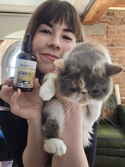 MellowPet for Cats – Advanced Calming Supplement for Stress and Anxiety 120ml Liquid