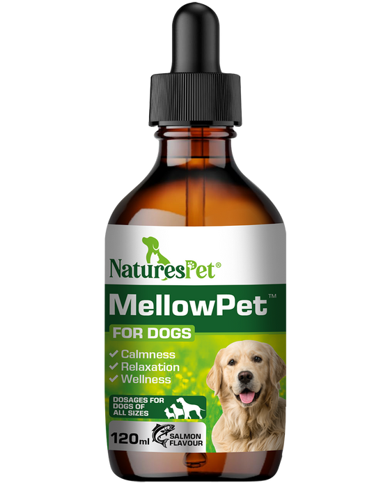 MellowPet for Dogs – Advanced Calming Supplement for Stress and Anxiety 120ml Liquid