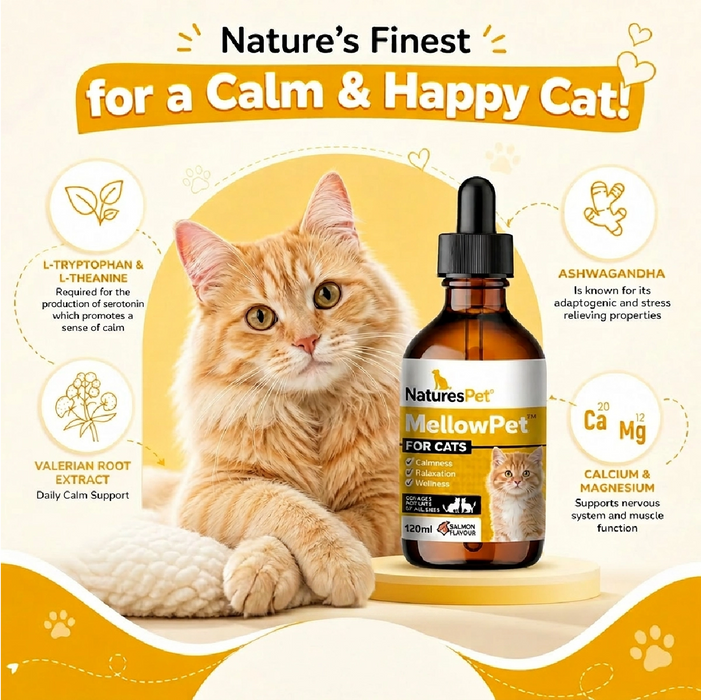 Cat Calming Drops for Stress & Anxiety Relief Support – MellowPet Advanced 120ml Liquid Formula for Relaxation & Behaviour Support