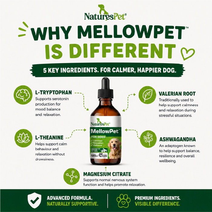 Dog Calming Drops for Stress & Anxiety Relief Support – MellowPet Advanced 120ml Liquid for Relaxation & Behaviour Support