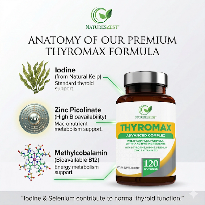 Thyroid Support Supplement for Energy, Metabolism & Normal Hormone Production – 120 Vegan Capsules for Women & Men