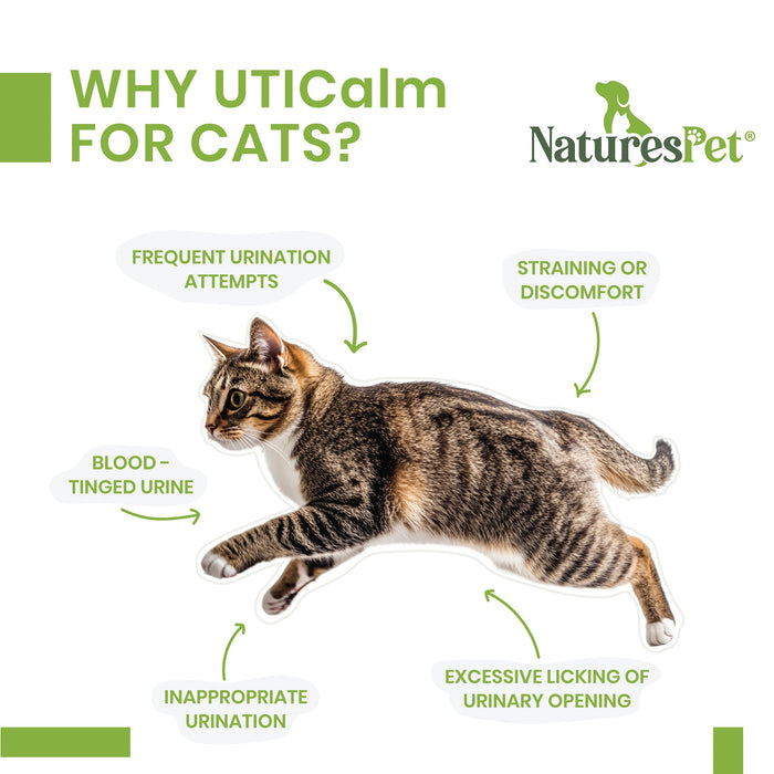 UTICalm For Cats – Urinary Tract & Bladder Support For Cats – 100 Liver Flavoured Sprinkle Capsules