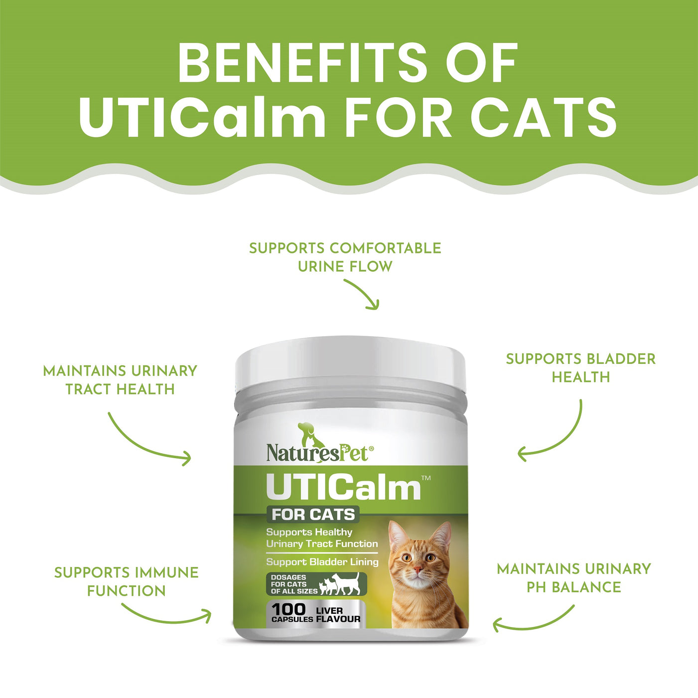 UTICalm Cat Urinary Tract Health Support | 100 Sprinkle Capsules ...