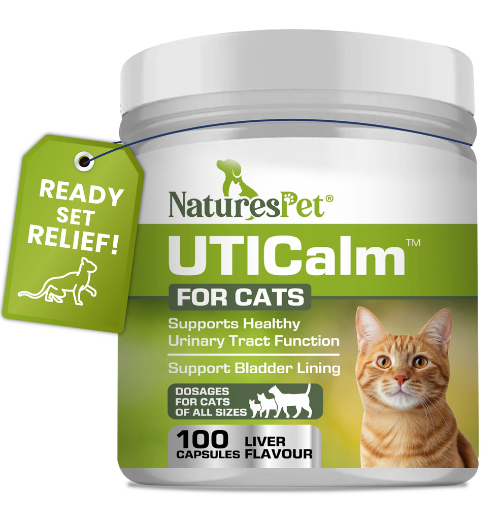 Cat UTI & Bladder Support Supplement – UTICalm Advanced 100 Liver Flavoured Sprinkle Capsules for Urinary Tract Health