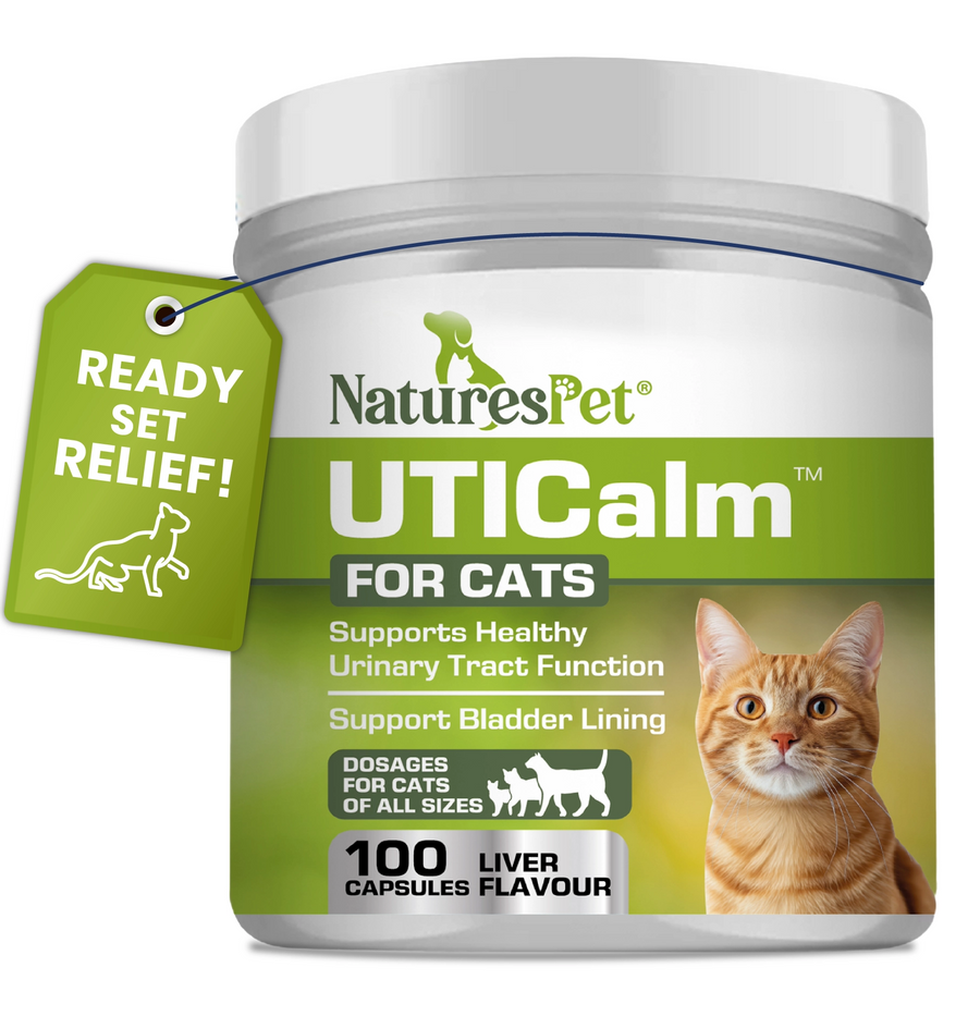Top rated product
