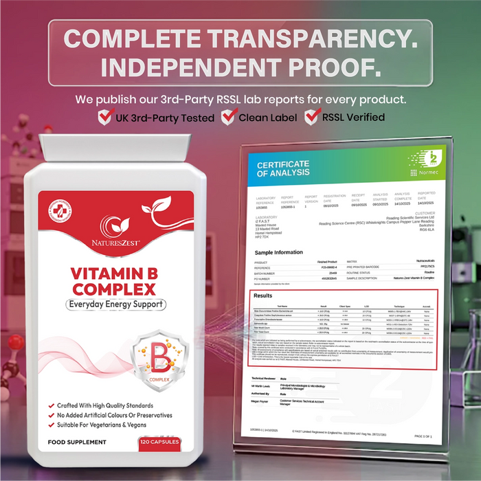 Vitamin B Complex for Energy, Metabolism & Nervous System Support – High Potency B Vitamins with PABA, 120 Vegan Capsules