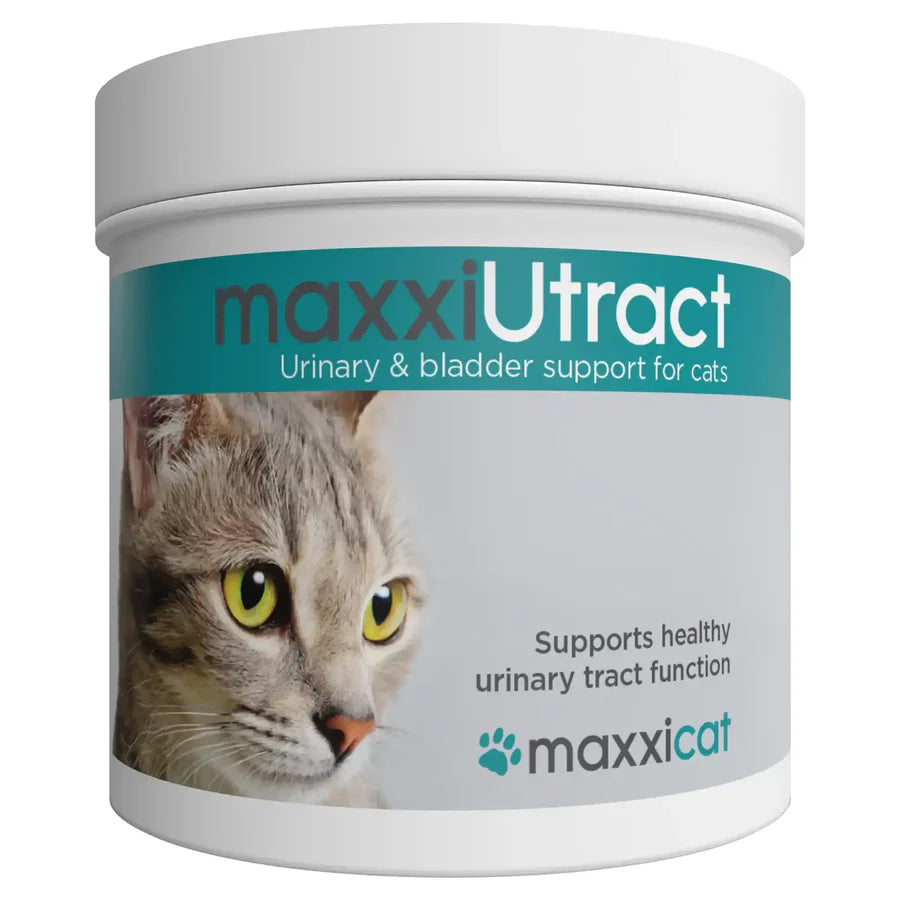 Top rated product